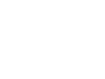 Icon of Globe